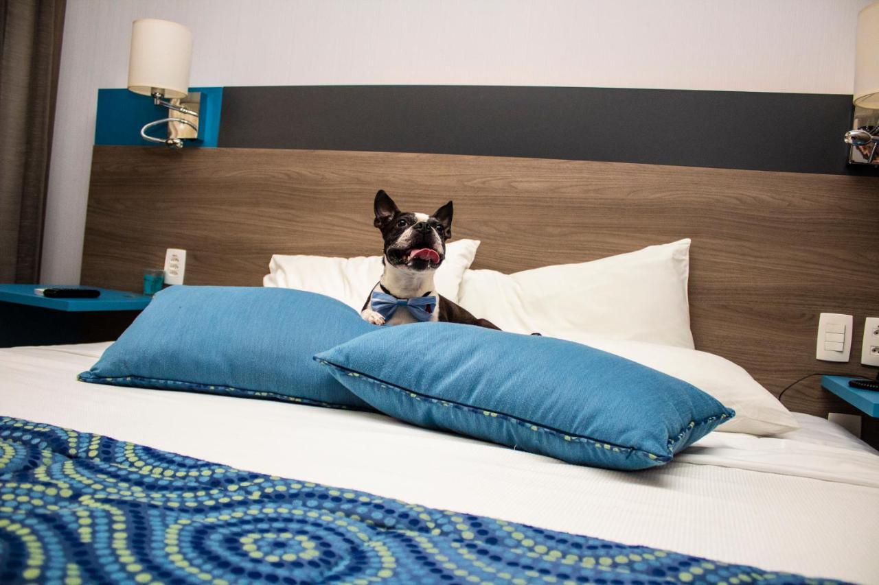 Hilton Garden Inn Santo Andre Екстериор снимка